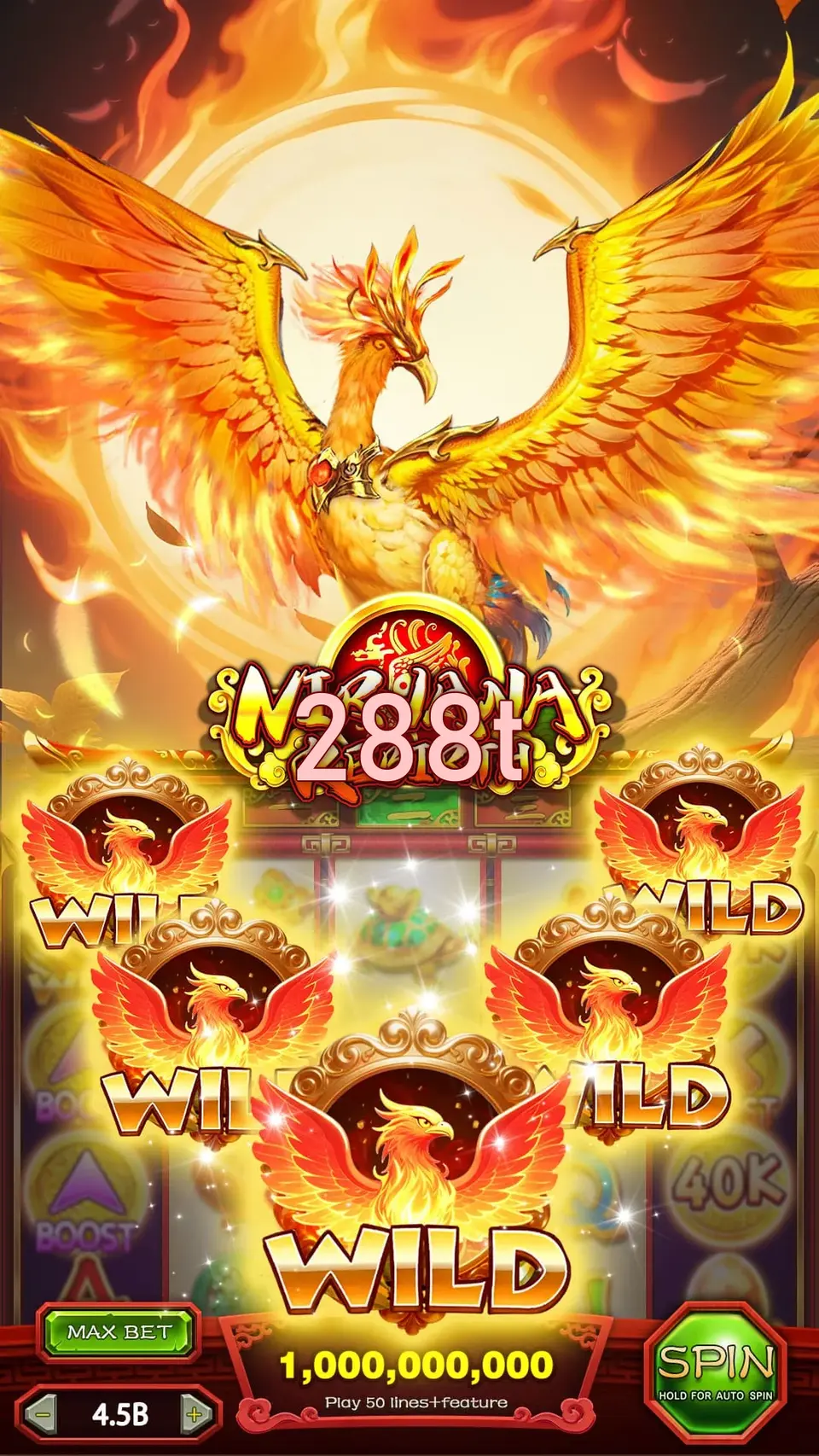 288t Login